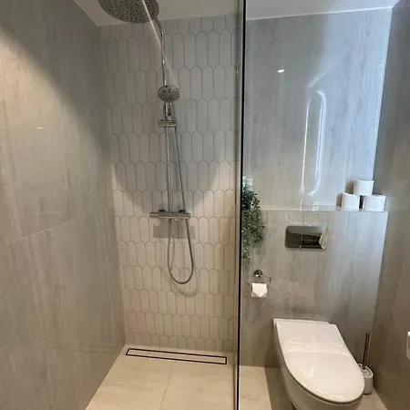 Luxurious Seaside Penthouse 哈普萨卢